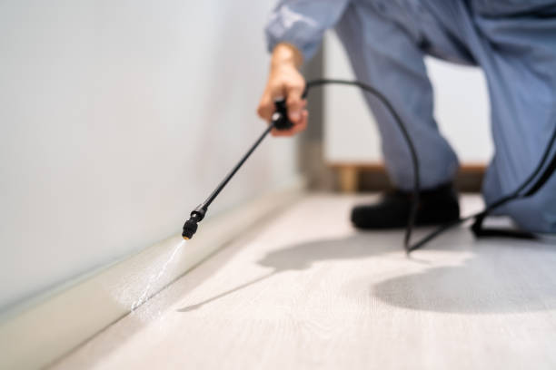 Licensed Cockroach Control service in Mount Carmel, IL - Nex Pest Control