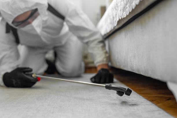 Professional Cockroach Control technician working in Mount Carmel, IL