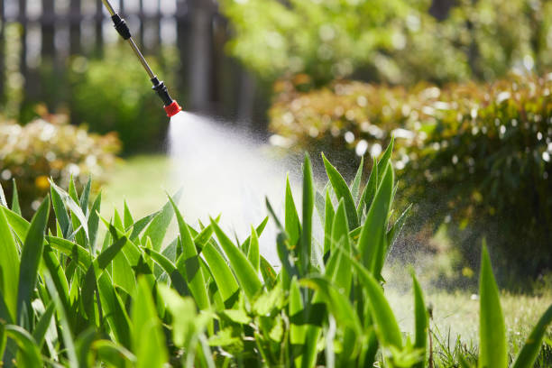 24/7 Emergency Cockroach Control experts in Mount Carmel, IL