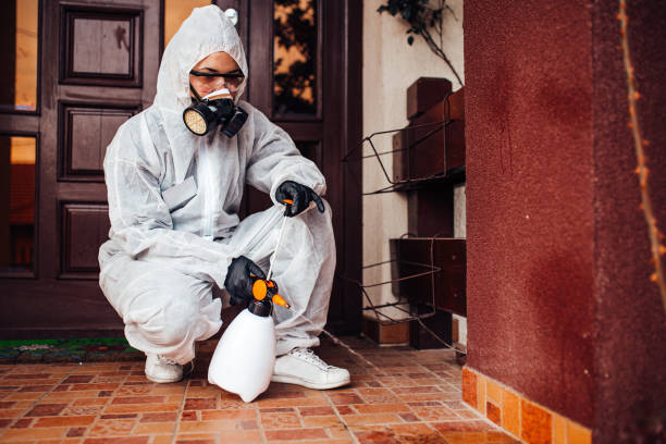 Reliable Cockroach Control contractor in Mount Carmel, IL by Nex Pest Control